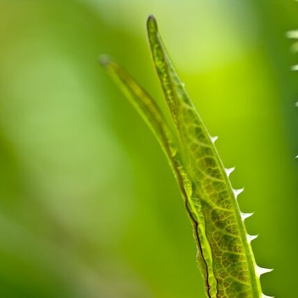 Toxicité relationnelle